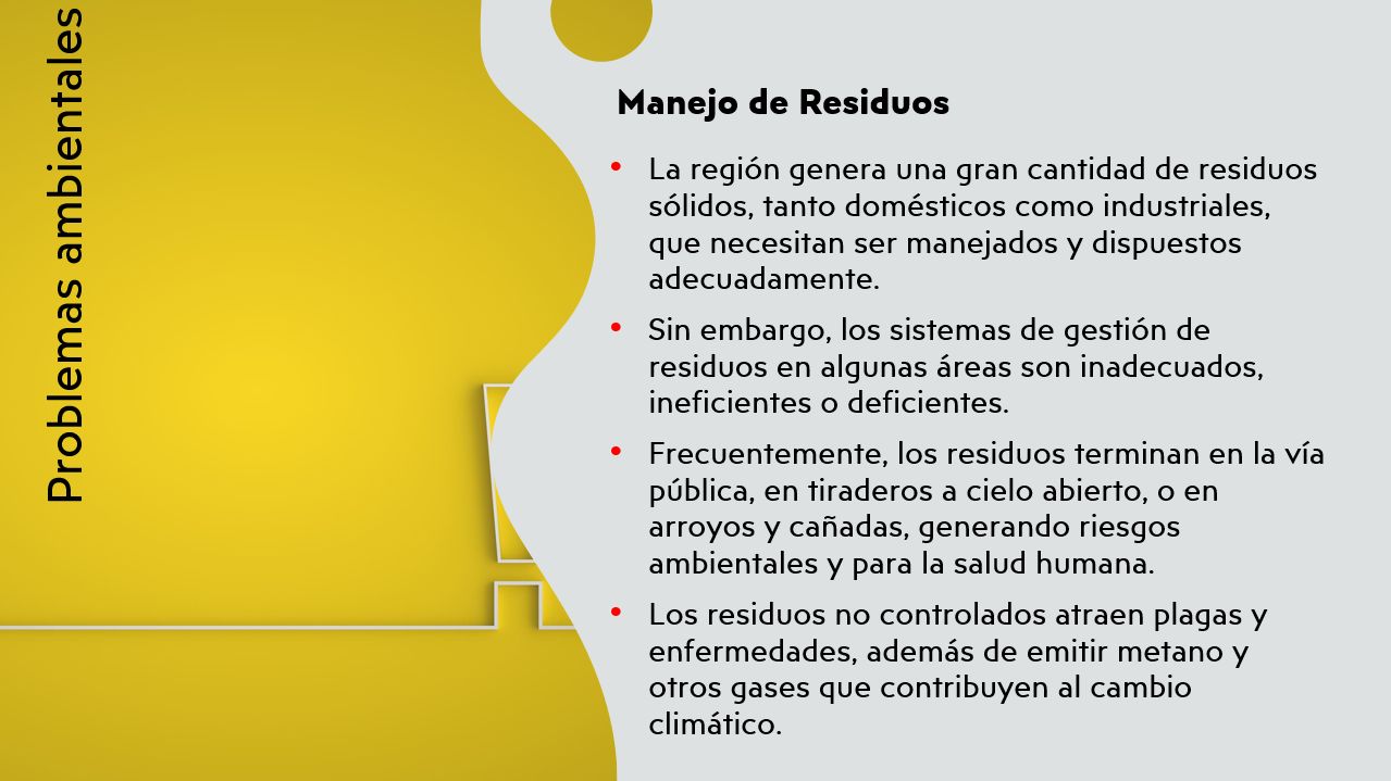Imagen 11