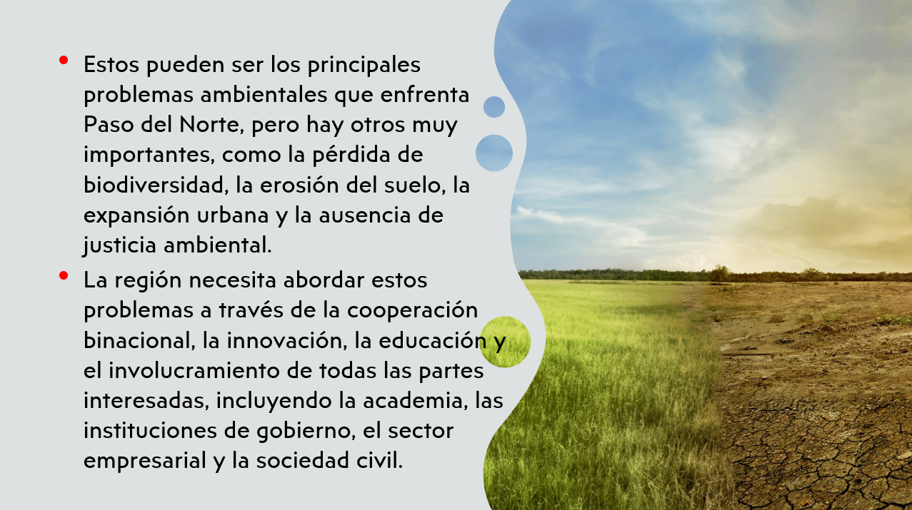 Imagen 12