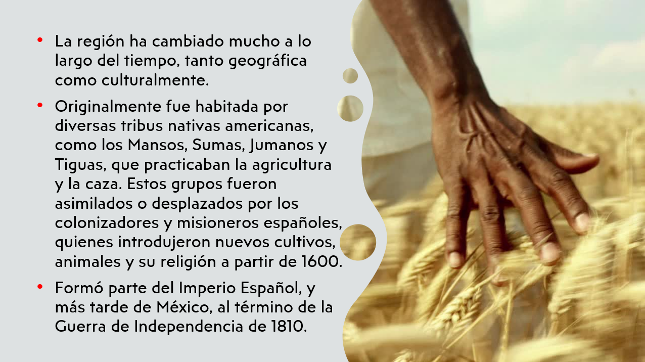 Imagen 4