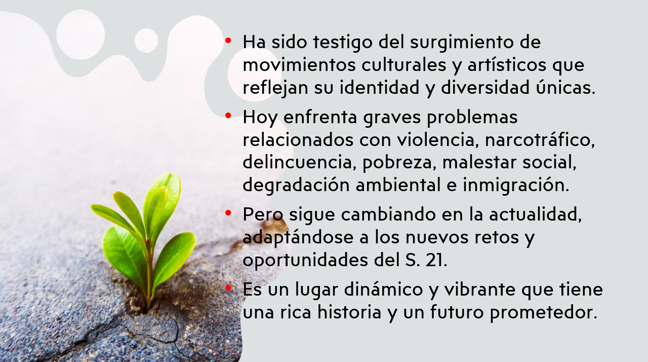 Imagen 8