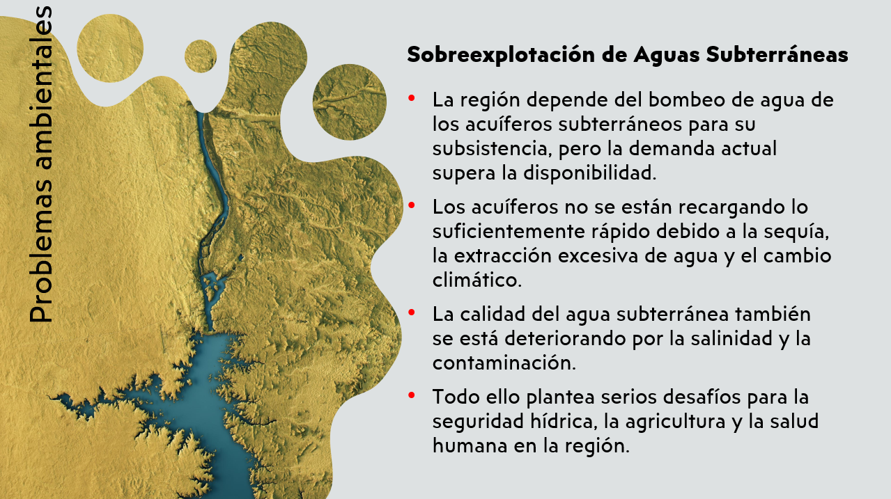 Imagen 9